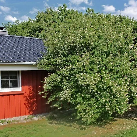 Ferienhaus Paulsen Holiday home Silberstedt